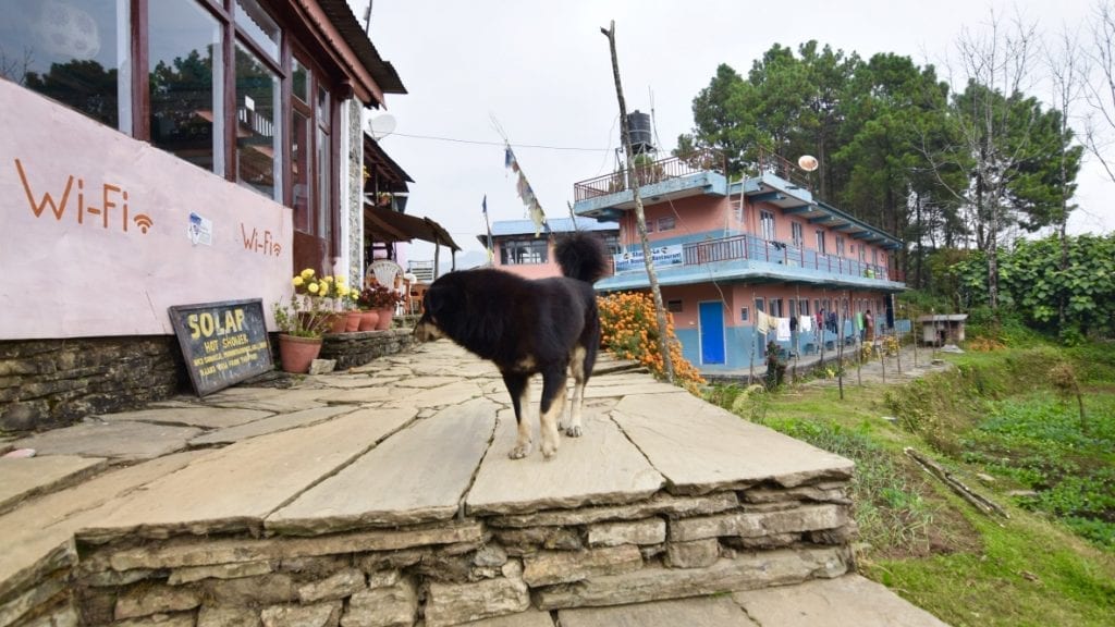 A teahouse during Annapurna Base Camp trek in Nepal. 