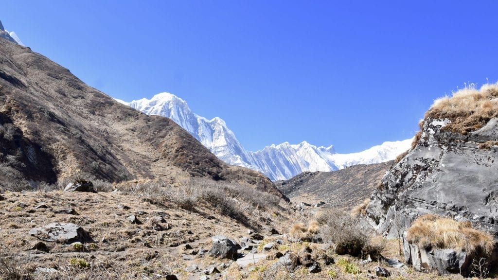 Snowcapped Annapurna mountain during Annapurna Sanctuary Trek. 