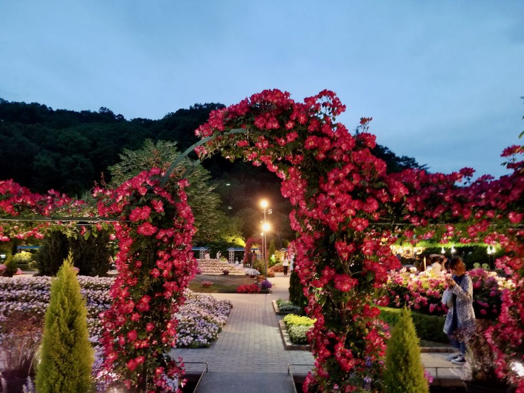 Ashikaga Flower Park looks different at night. 