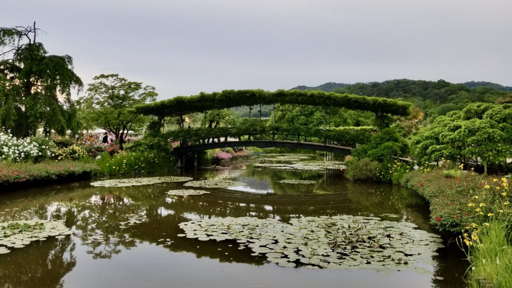 A traditional Japanese bridge in Ashikaga Flower Park.