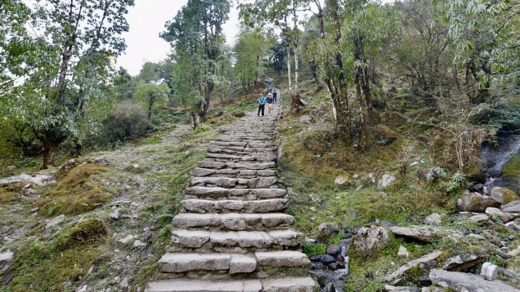 One of the most difficult parts of Annapurna Base Camp is the long stairs of Chhomrong. 