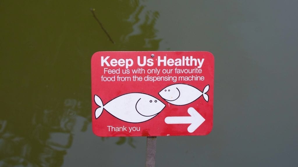 Fish Feeding Notice Singapore Botanic Gardens