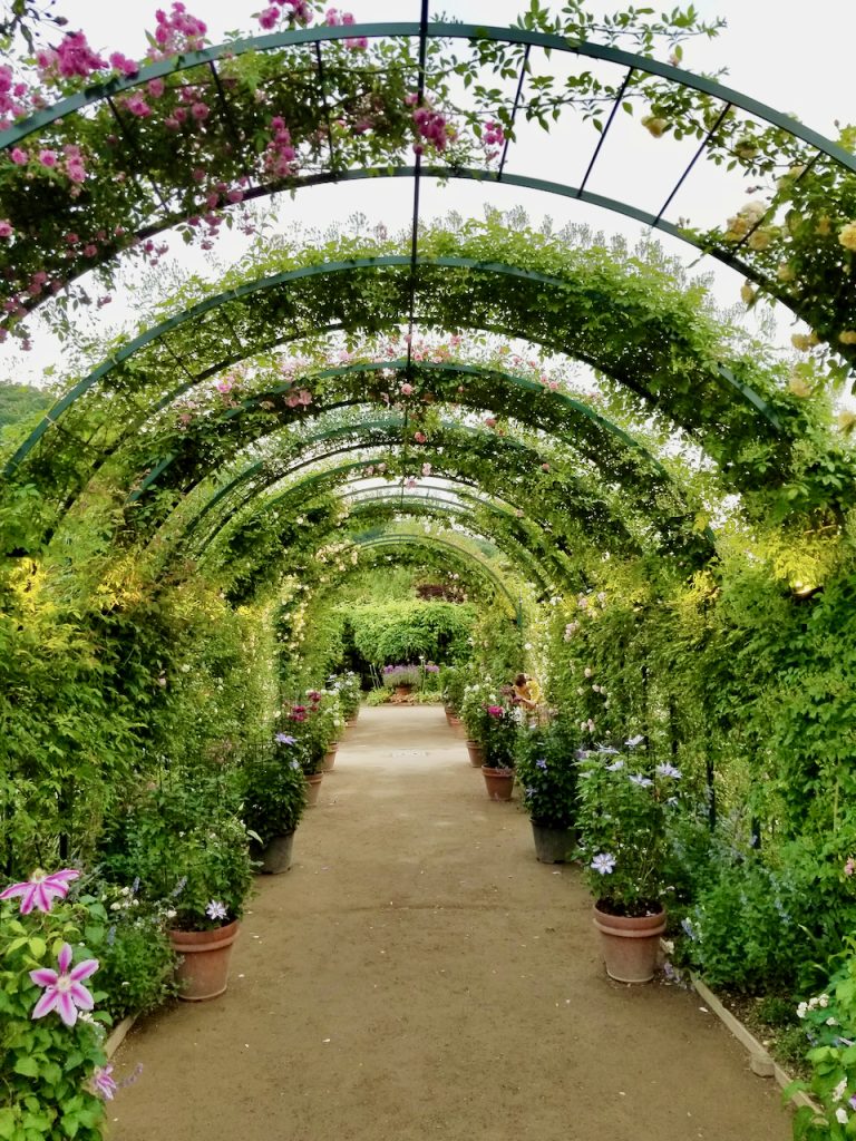 A perfect place for taking photos in Ashikaga flower park. 