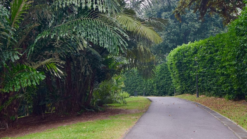 Road inside of Singapore Botanic Gardens