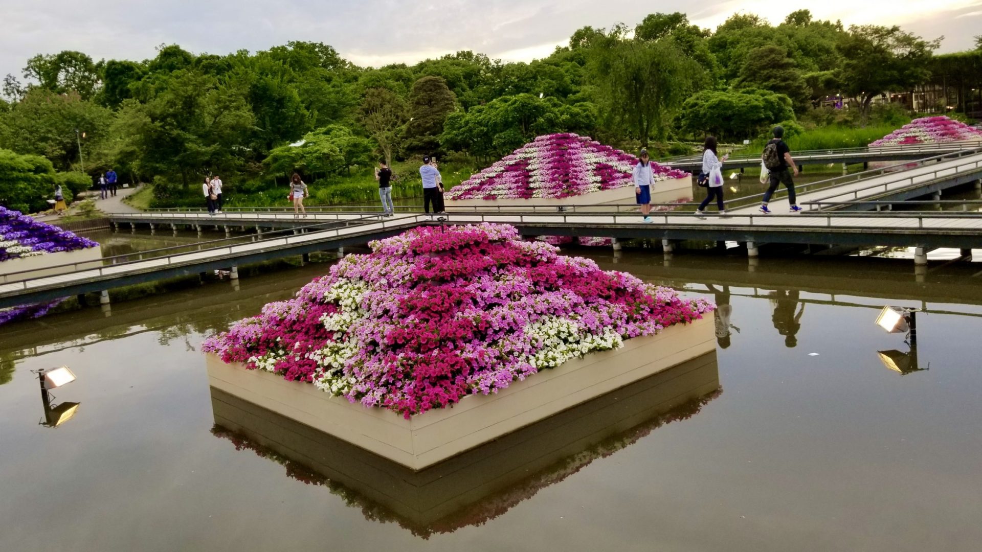 Red flower pyramid in Ashikaga Flower Park