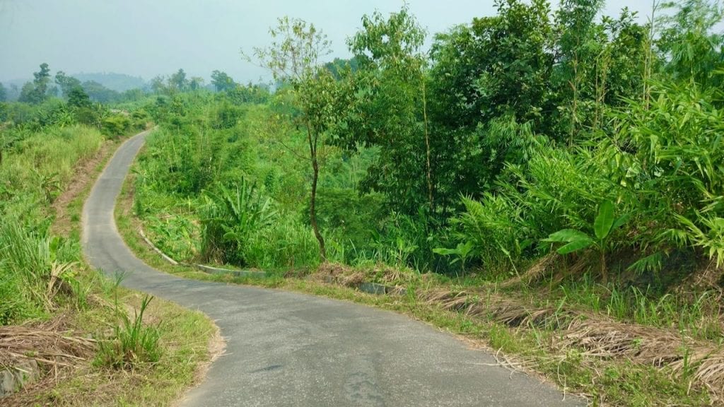 The road to Sajek valley is beautiful. 