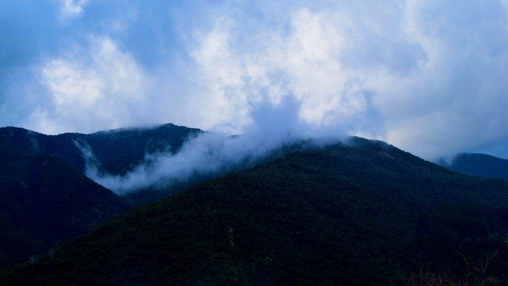 Misty mountains in Montseny. 