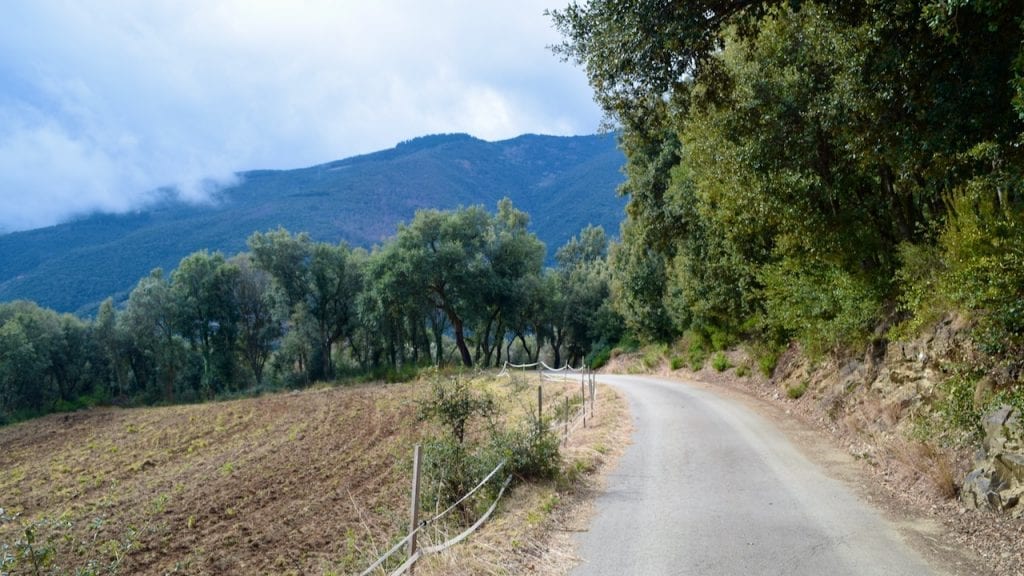 Montseny is a fantastic day trip from Barcelona. 