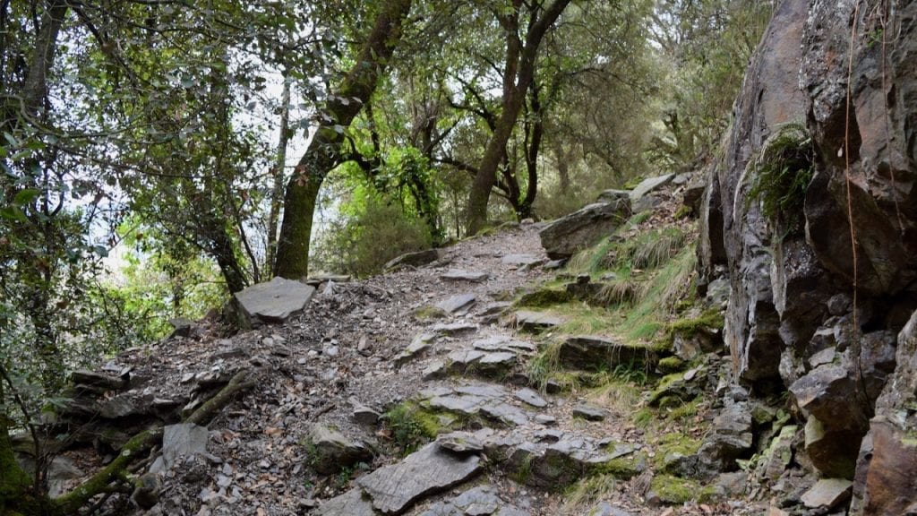 A hike to Montseny as a day trip from Barcelona is worthy. 