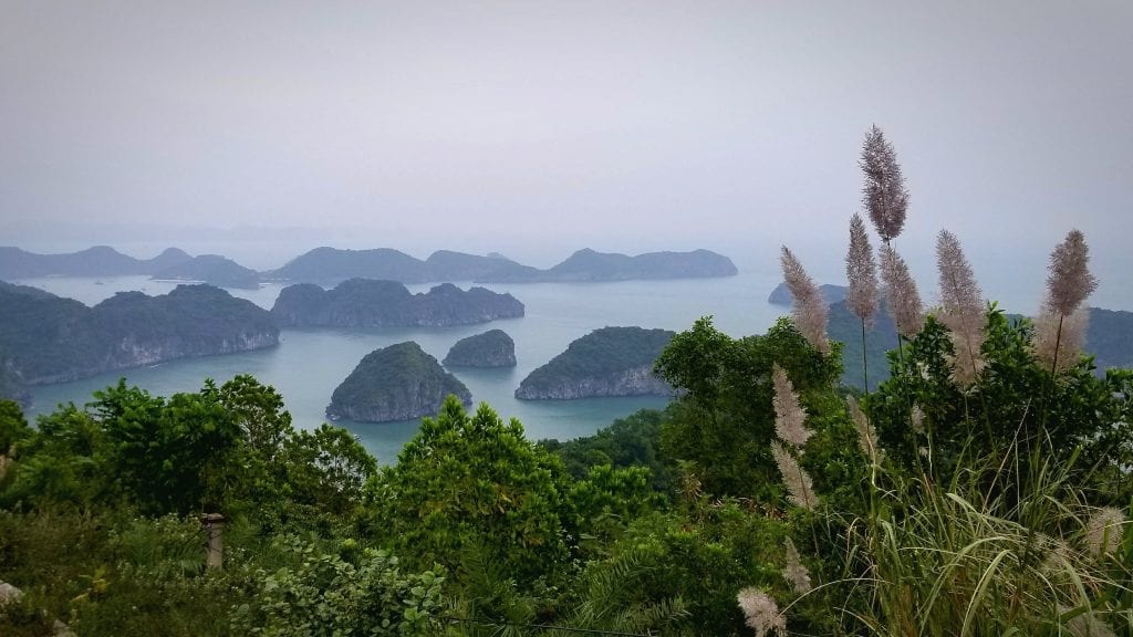 Cat Ba island Top View