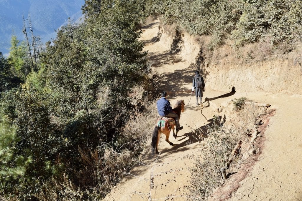 You can rent horses up to a certain point during Tiger's Nest Trek.