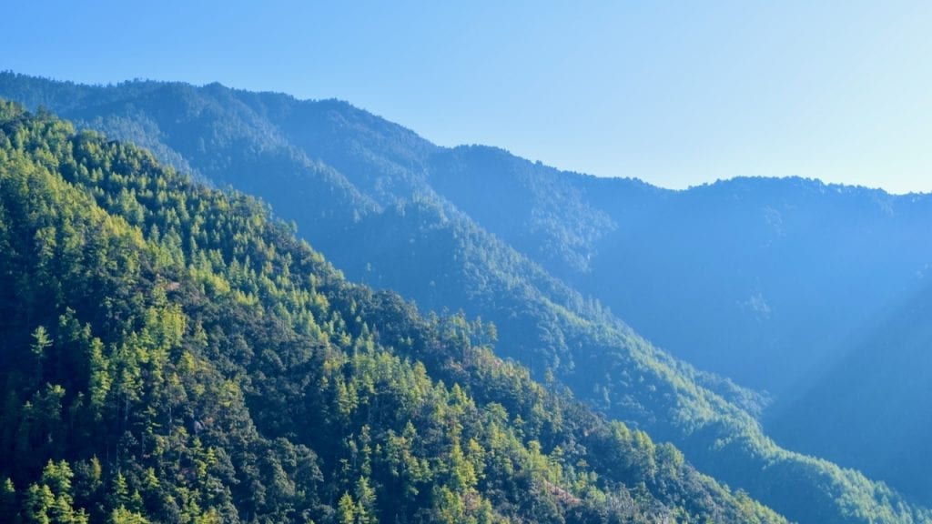 A wave of greeneries during Tiger's Nest Trek. 