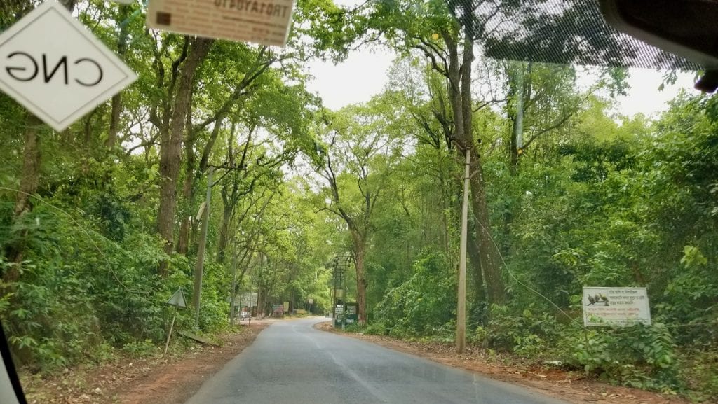 A Road in Tripura