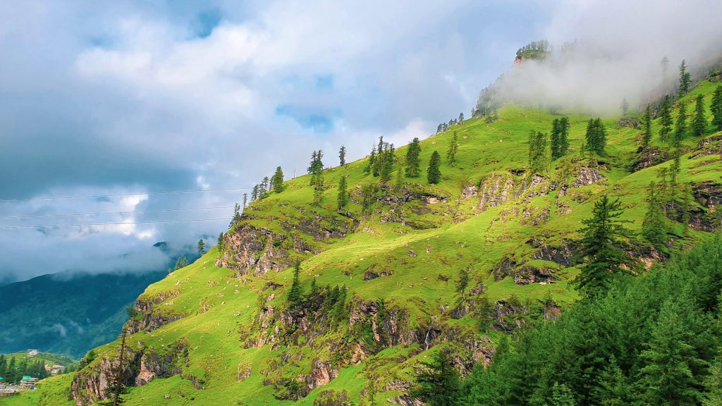 The green landscape in Manali on our way to Spiti Valley. 