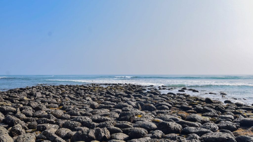 Corals in Saint Martins Bangladesh