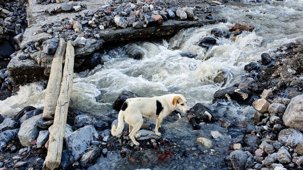 A Stream in Mud Village in Pin valley