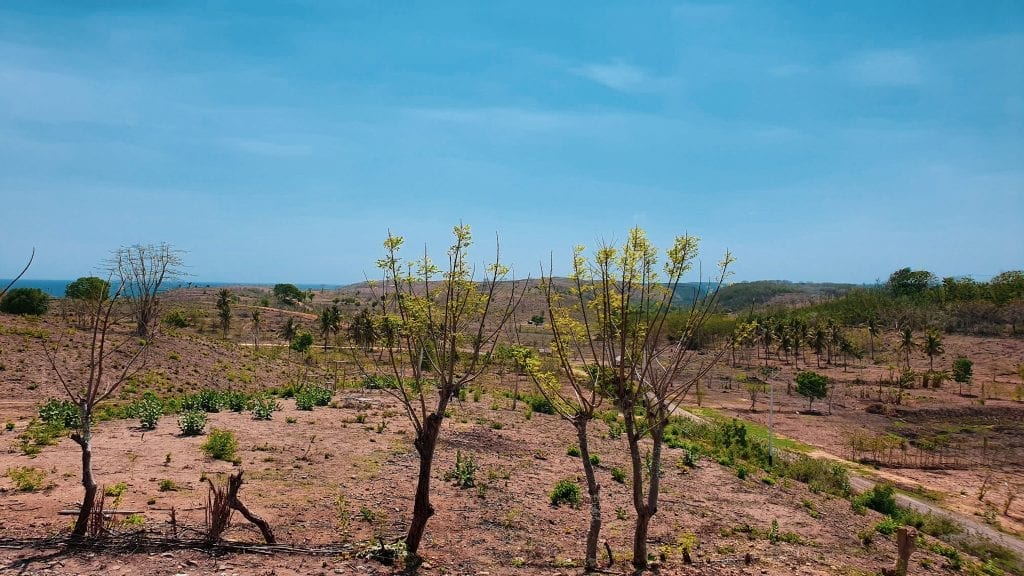 Barren Ekas in Lombok with no trees