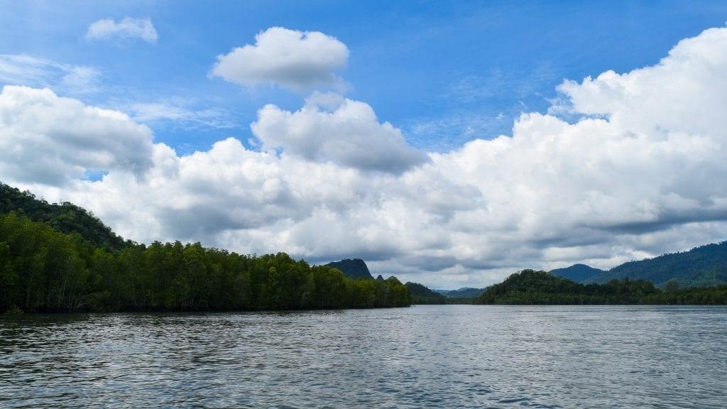 Open ocean with forest during half day mangrove trip in Langkawi