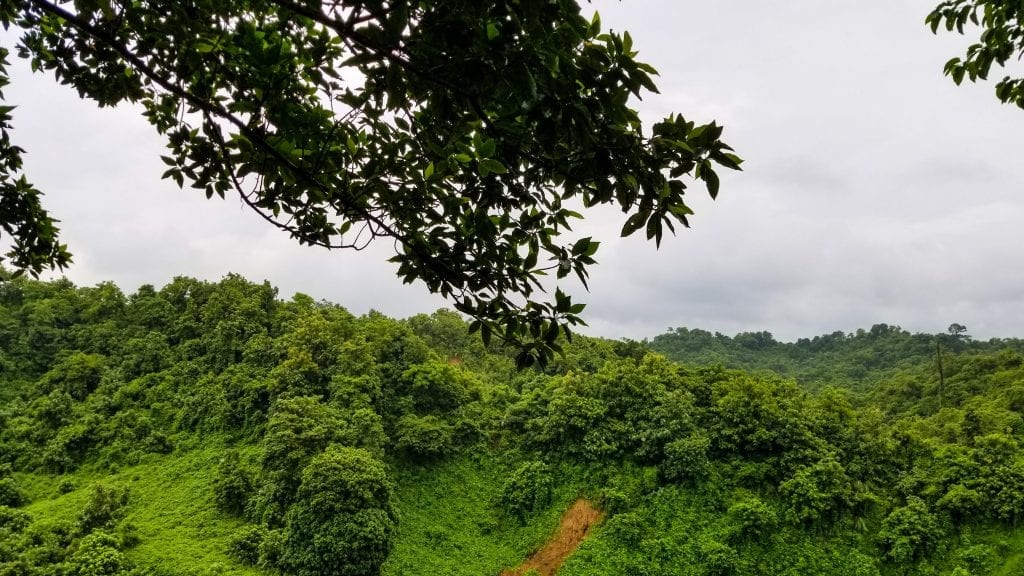 Green Hill in Himchari