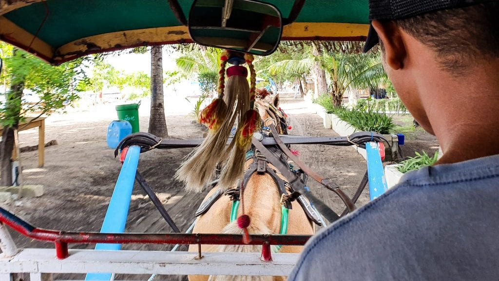 Horse Carriage in Gili Air