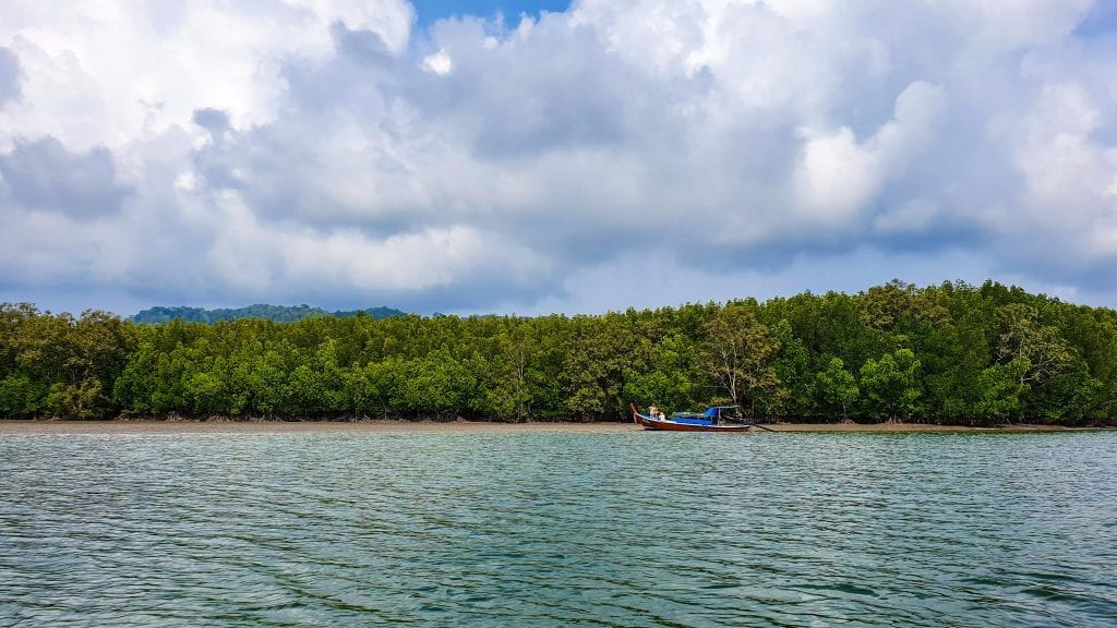 Tung Yee Peng Mangrove in Ko Lanta