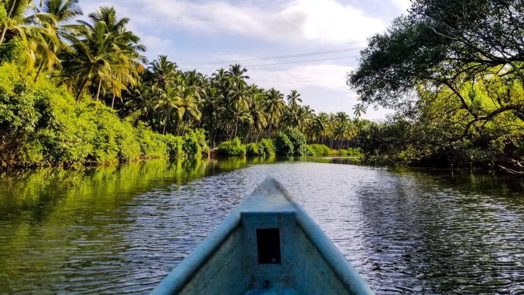 Boat Trip in Goa