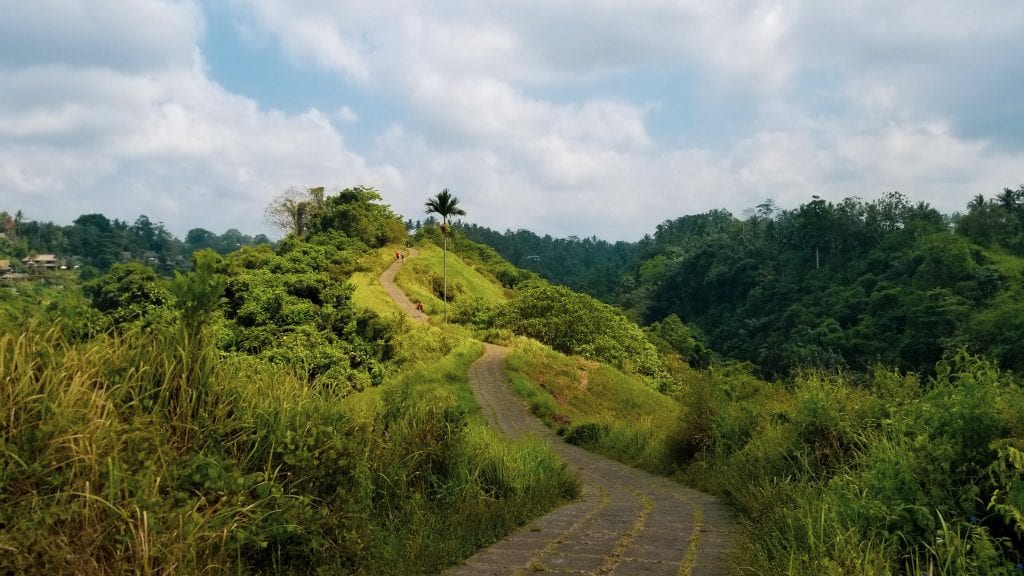 Campuhan Ridge Walk