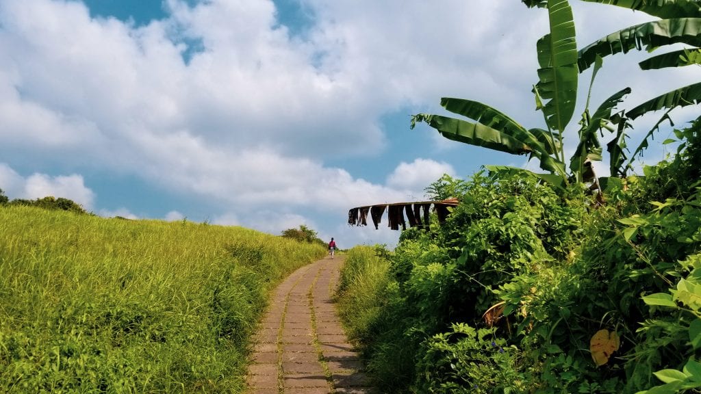 Hiking the Campuhan Ridge in Ubud, Bali