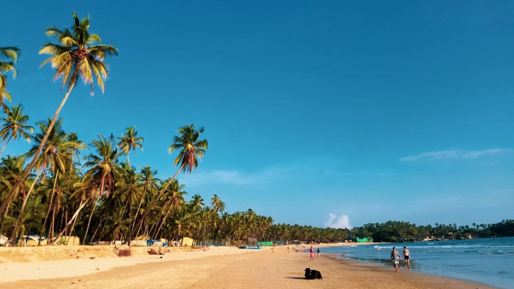 Palolem Beach in Goa is among best Places to visit Goa in 2 days.