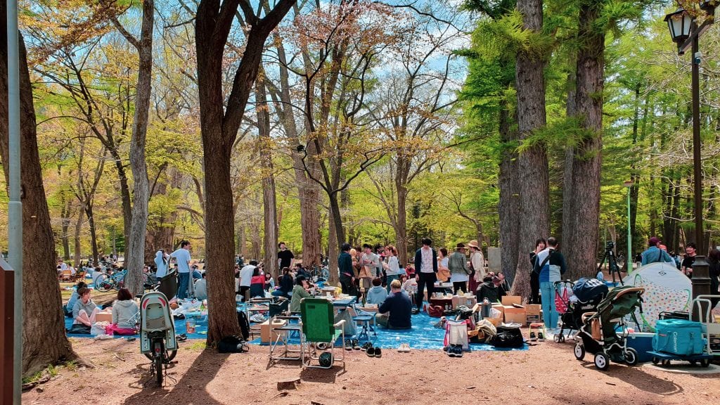 Picnic in Maruyama Koen in Sapporo