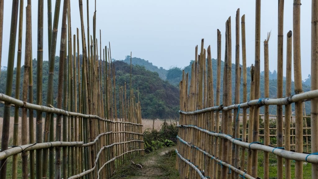 Bamboo Tunnel in Birishiri