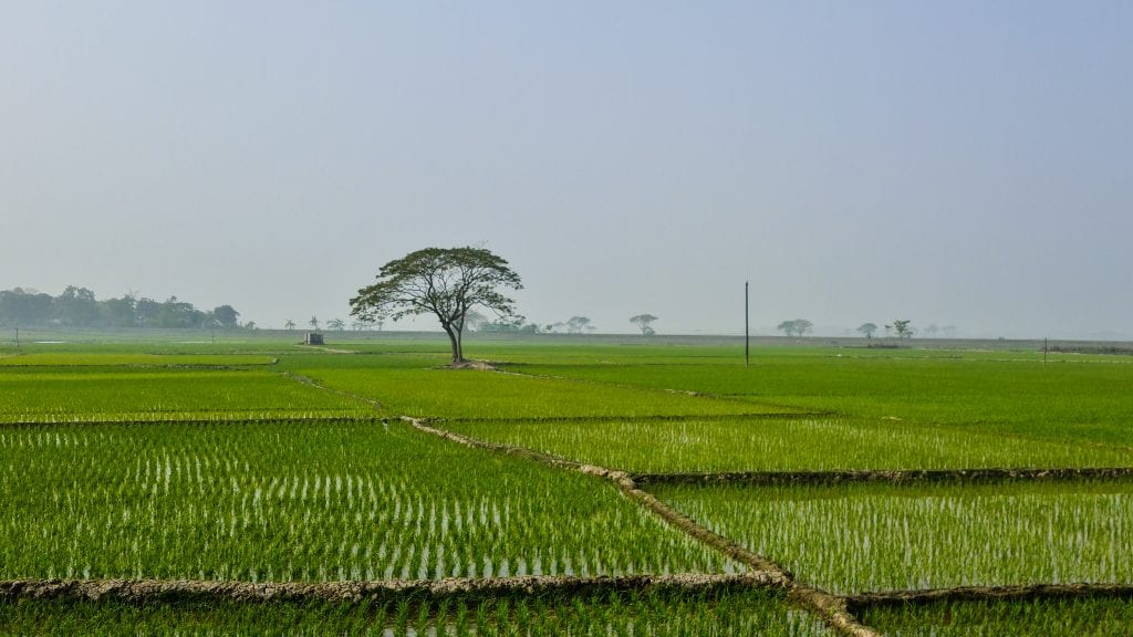 Birishiri A Pretty Remote village in Bangladesh A Walk in the World