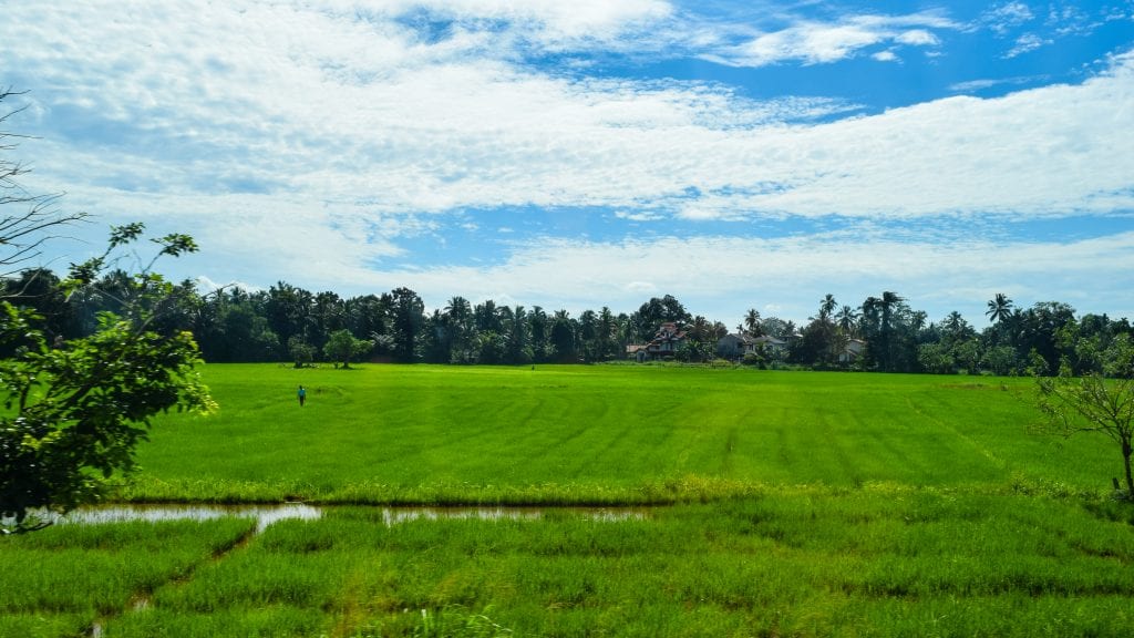 Countryside of Sri Lanka