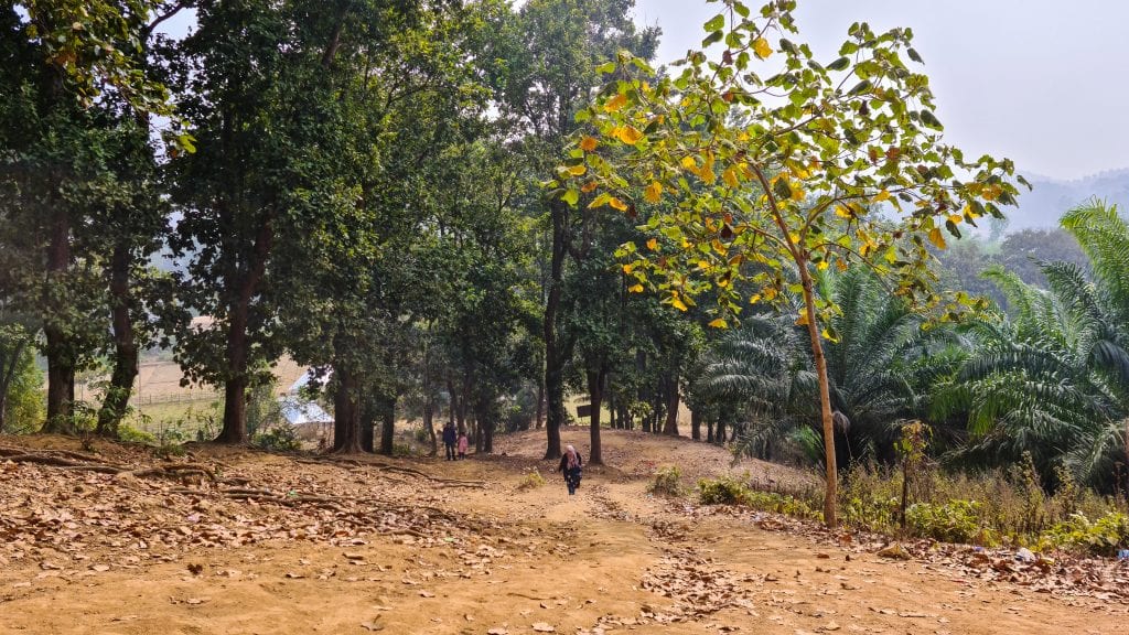 Hiking in the Orange Garden Hill