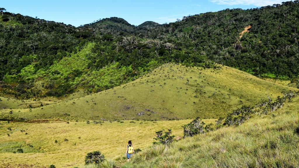 Horton Plains National Park