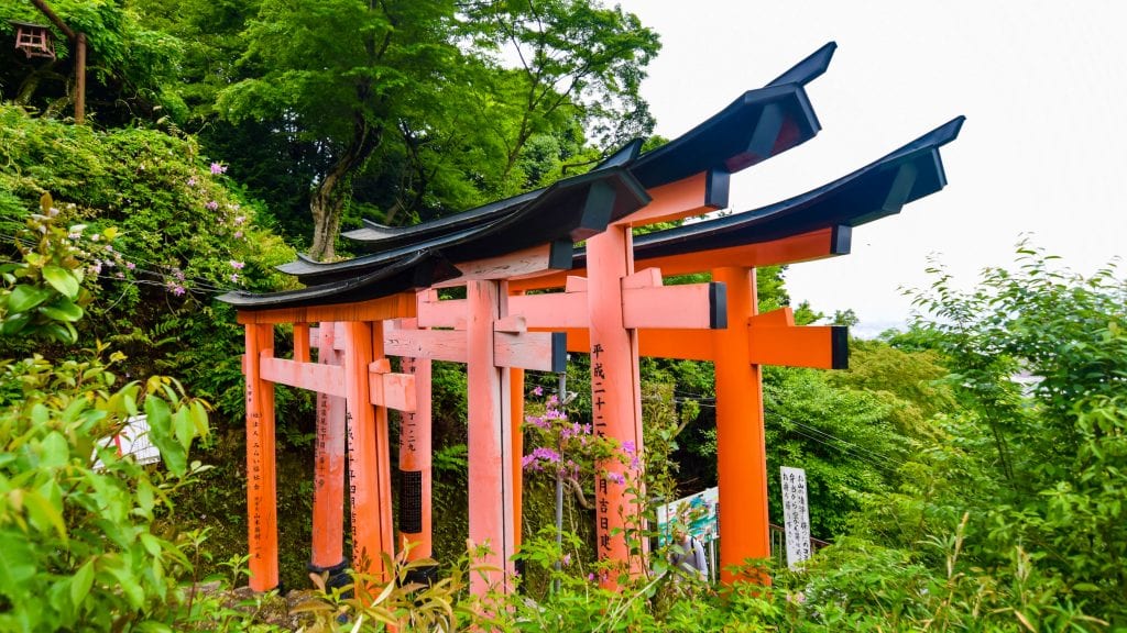 Torii on top of Fushimi Inari