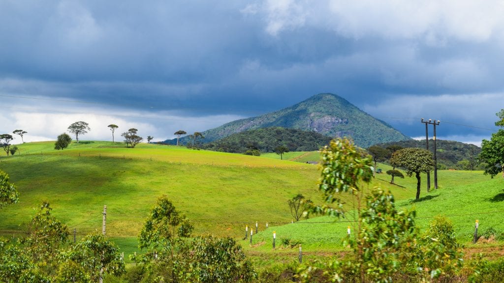 Beautiful Countryside in Sri Lanka - Ambewela