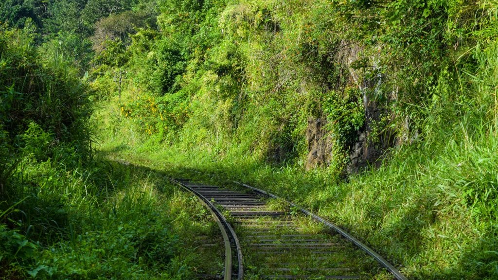 Beautiful Train Line in Ella