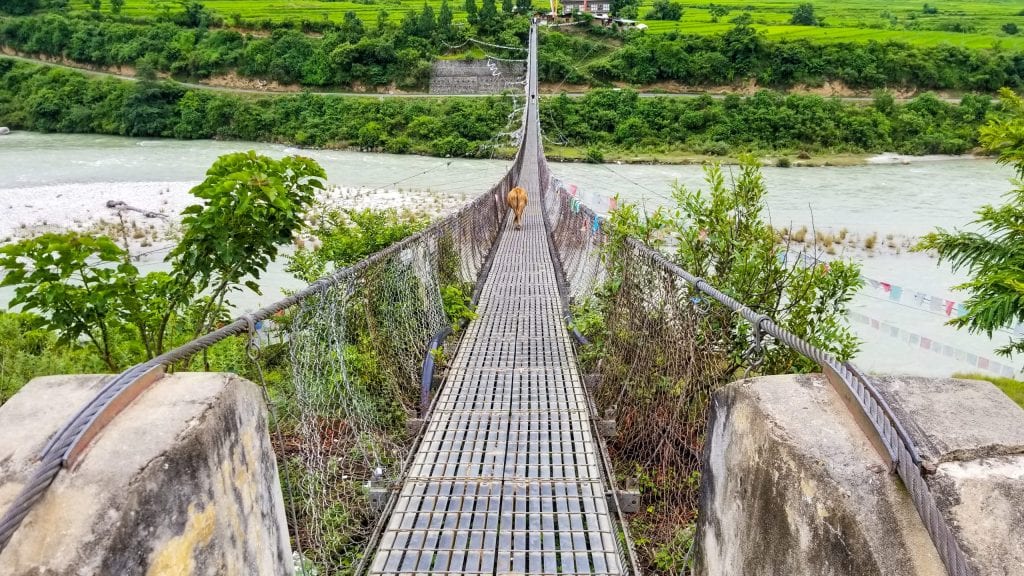 Punakha Suspension Bridge is one of the main places to visit in Punakha. 