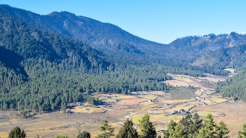 Top View Phobjikha Valley