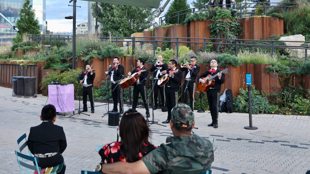 Performance in Hudson River Park