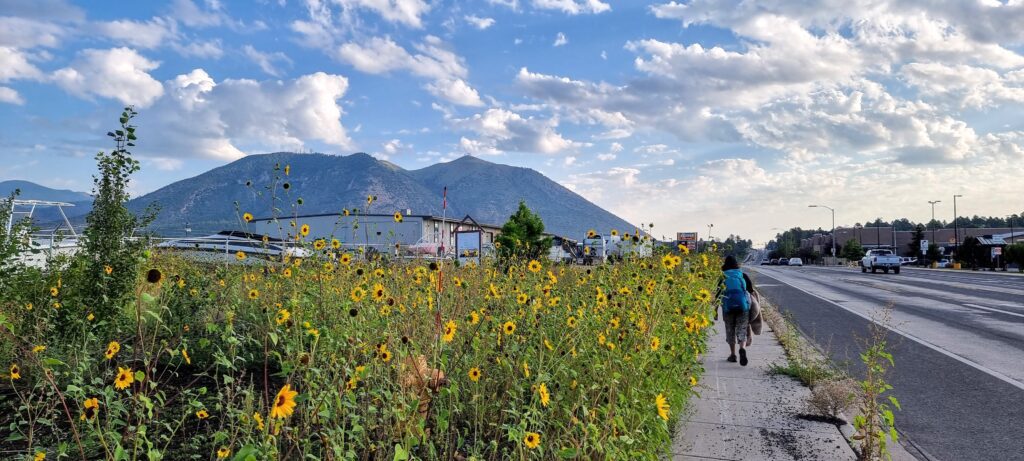 Walking in Flagstaff