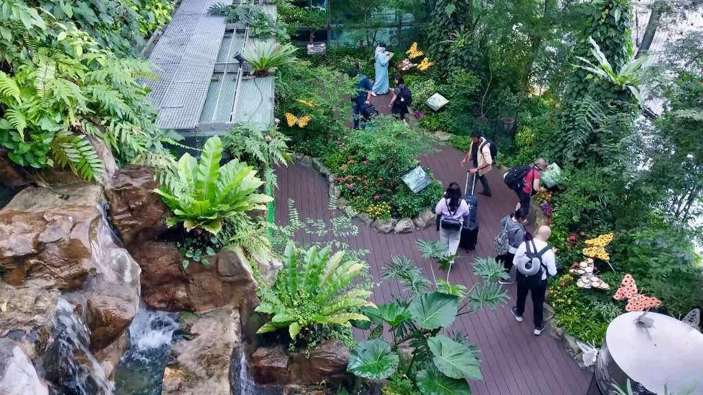 Butterfly Garden in Changi Airport