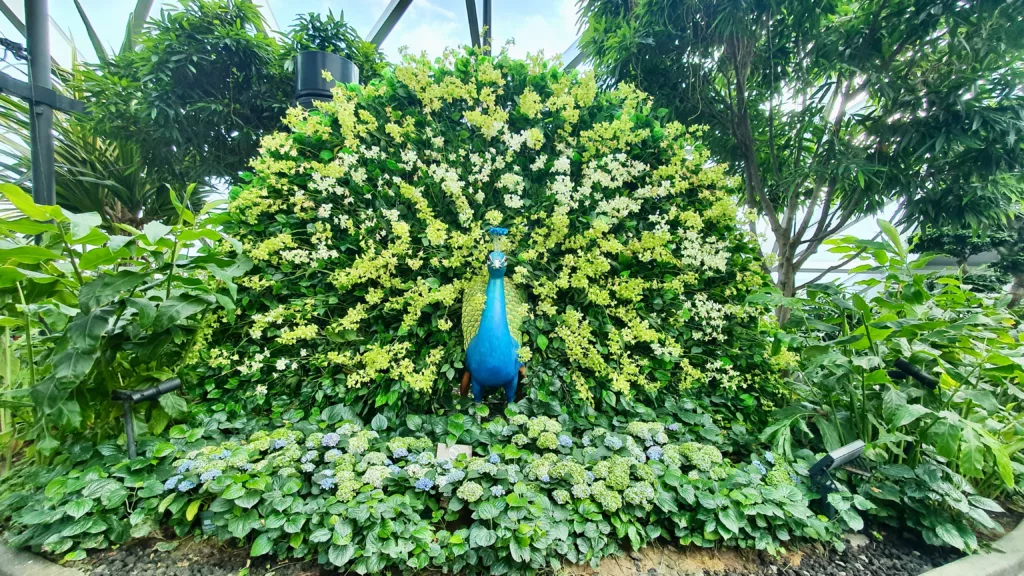 Topiary Walk Animals in Changi Peacock